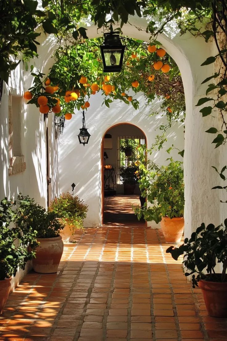 A whitewashed passage under citrus trees